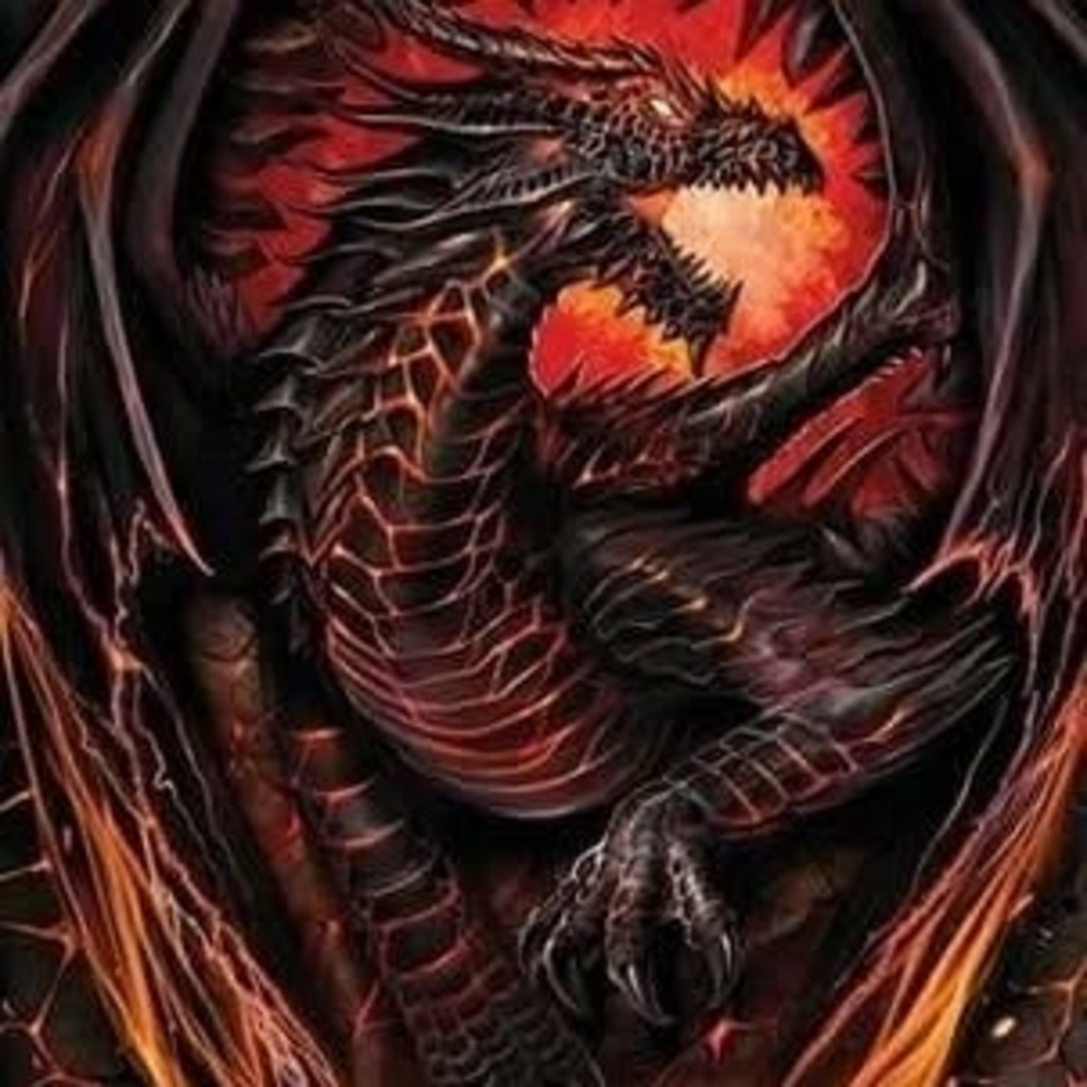 Meet your Posher, Ellie